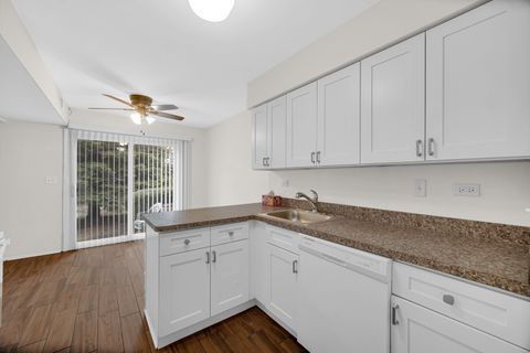 Tiny photo for 613 Shaw Court, Schaumburg, IL 60194 (MLS # 12592538)