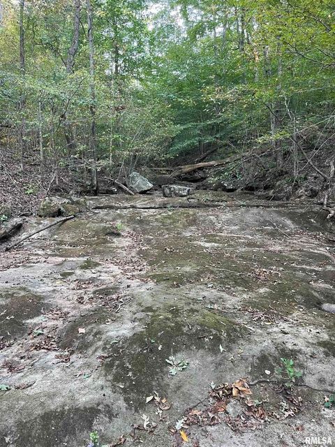 Tiny photo for 5435 HICKORY RIDGE Road, Pomona, IL 62975 (MLS # EB459748)