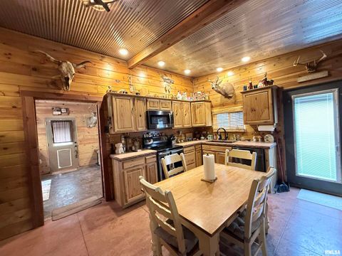 Tiny photo for 5435 HICKORY RIDGE Road, Pomona, IL 62975 (MLS # EB459748)