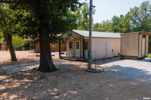 Tiny photo for 5435 HICKORY RIDGE Road, Pomona, IL 62975 (MLS # EB459748)