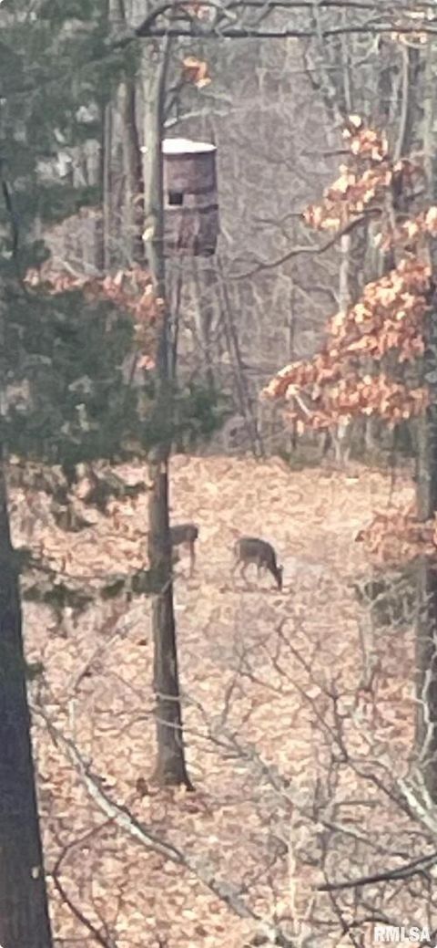 Tiny photo for 5435 HICKORY RIDGE Road, Pomona, IL 62975 (MLS # EB459748)