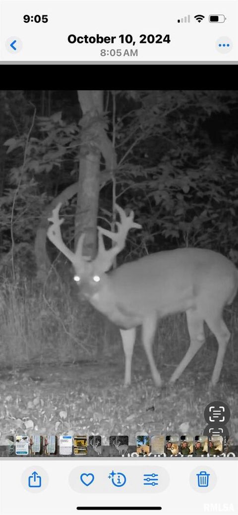 Tiny photo for 5435 HICKORY RIDGE Road, Pomona, IL 62975 (MLS # EB459748)