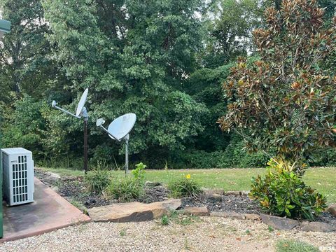 Tiny photo for 5435 HICKORY RIDGE Road, Pomona, IL 62975 (MLS # EB459748)