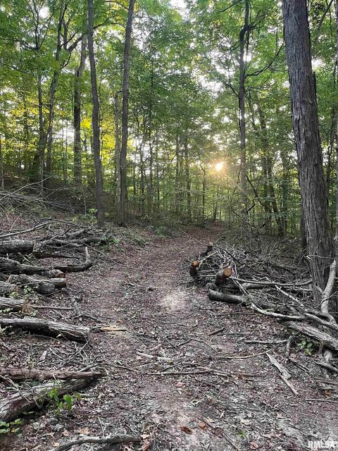 Tiny photo for 5435 HICKORY RIDGE Road, Pomona, IL 62975 (MLS # EB459748)