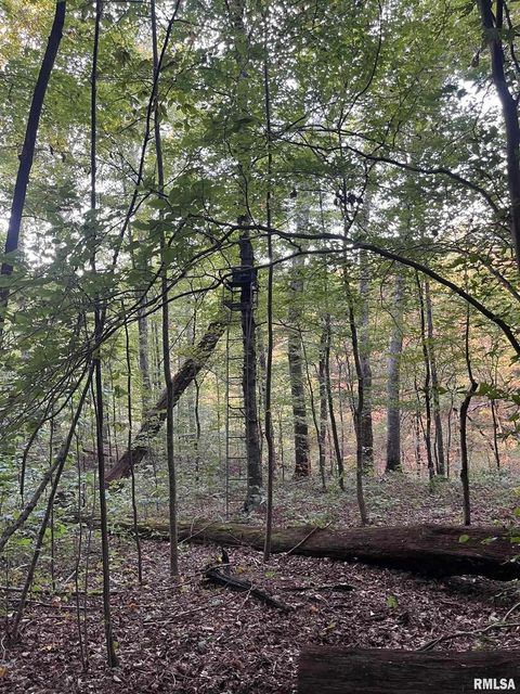 Tiny photo for 5435 HICKORY RIDGE Road, Pomona, IL 62975 (MLS # EB459748)