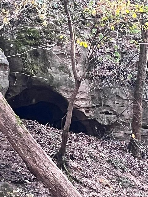 Tiny photo for 5435 HICKORY RIDGE Road, Pomona, IL 62975 (MLS # EB459748)