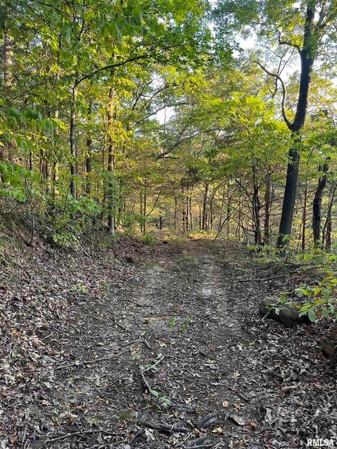 Tiny photo for 5435 HICKORY RIDGE Road, Pomona, IL 62975 (MLS # EB459748)