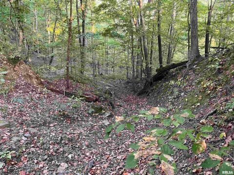 Tiny photo for 5435 HICKORY RIDGE Road, Pomona, IL 62975 (MLS # EB459748)