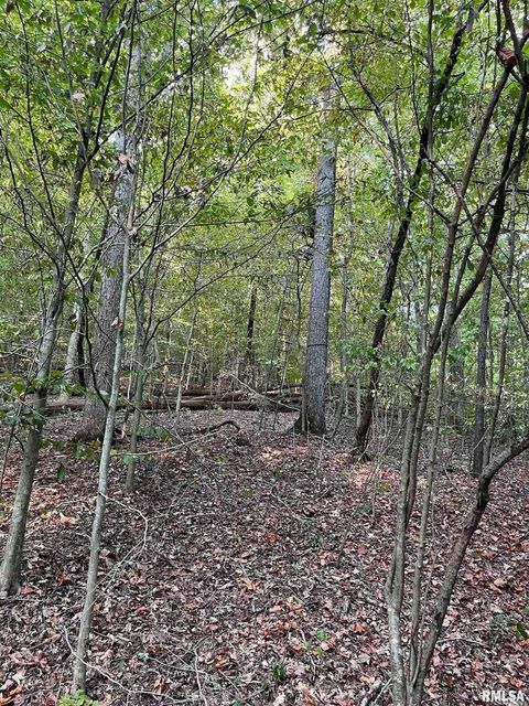 Tiny photo for 5435 HICKORY RIDGE Road, Pomona, IL 62975 (MLS # EB459748)