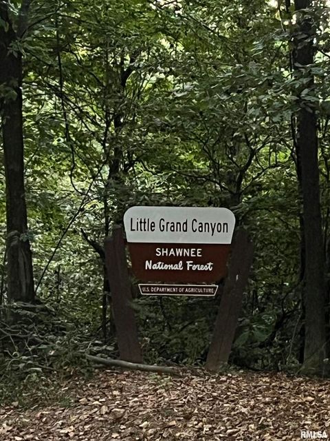 Tiny photo for 5435 HICKORY RIDGE Road, Pomona, IL 62975 (MLS # EB459748)