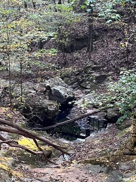 Tiny photo for 5435 HICKORY RIDGE Road, Pomona, IL 62975 (MLS # EB459748)