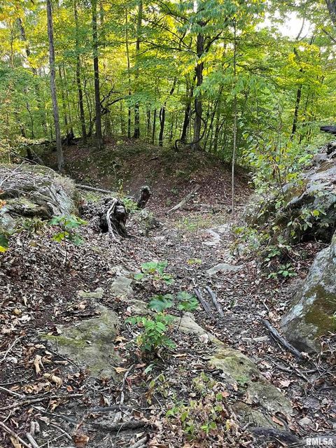 Tiny photo for 5435 HICKORY RIDGE Road, Pomona, IL 62975 (MLS # EB459748)