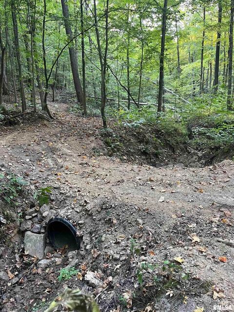 Tiny photo for 5435 HICKORY RIDGE Road, Pomona, IL 62975 (MLS # EB459748)