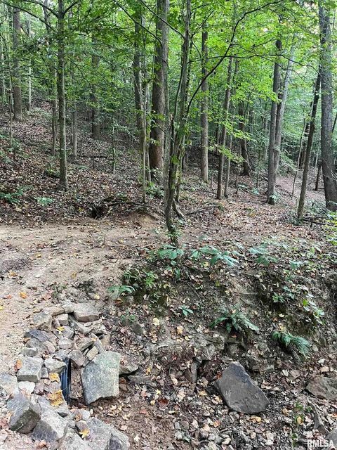 Tiny photo for 5435 HICKORY RIDGE Road, Pomona, IL 62975 (MLS # EB459748)