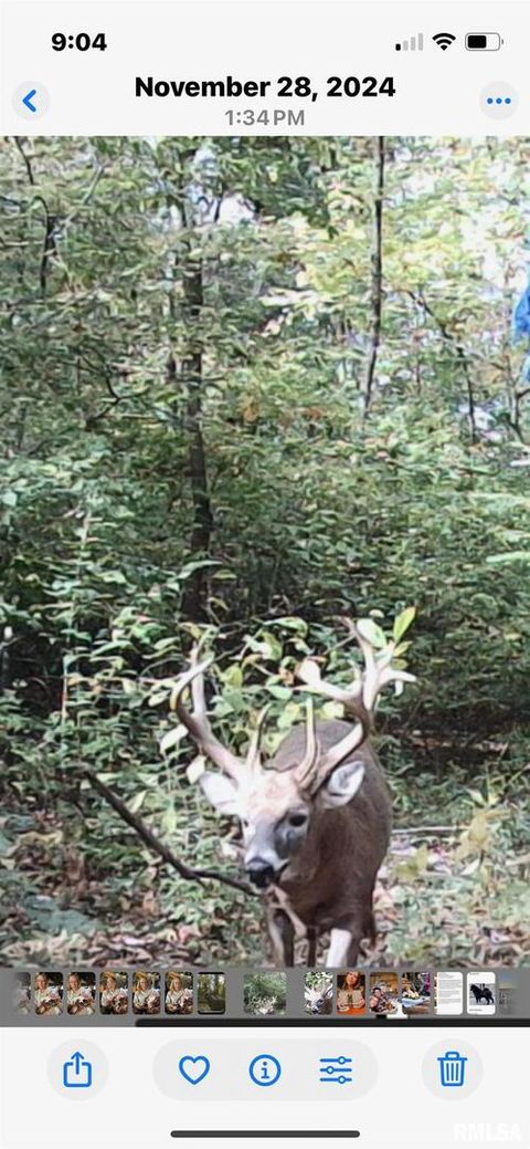 Tiny photo for 5435 HICKORY RIDGE Road, Pomona, IL 62975 (MLS # EB459748)