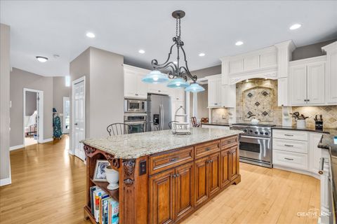 Tiny photo for 4204 Falkner Drive, Naperville, IL 60564 (MLS # 12586992)