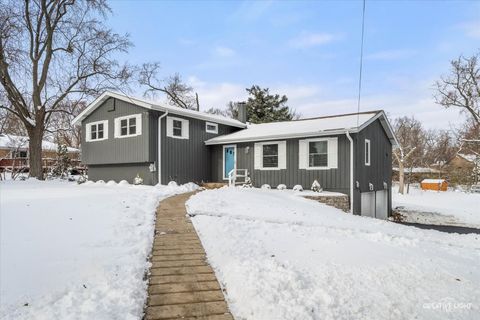 Photo of 704 Plainfield Road, Downers Grove, IL 60516 (MLS # 12523195)