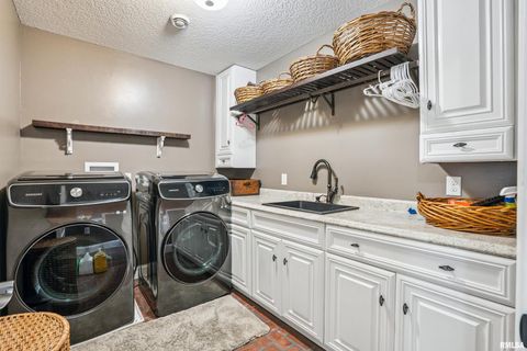 Tiny photo for 1389 260TH Avenue, Delmar, IA 52037 (MLS # QC4266253)