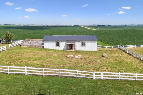 Tiny photo for 1389 260TH Avenue, Delmar, IA 52037 (MLS # QC4266253)