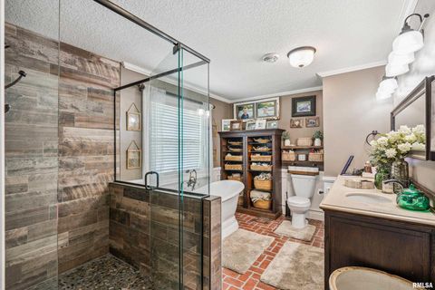 Tiny photo for 1389 260TH Avenue, Delmar, IA 52037 (MLS # QC4266253)