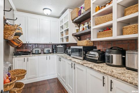 Tiny photo for 1389 260TH Avenue, Delmar, IA 52037 (MLS # QC4266253)