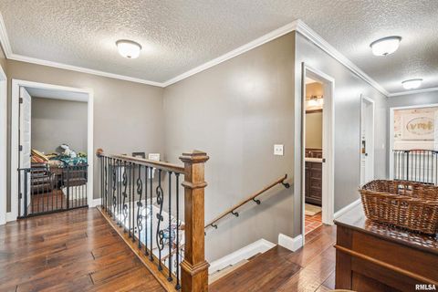 Tiny photo for 1389 260TH Avenue, Delmar, IA 52037 (MLS # QC4266253)