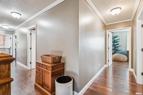 Tiny photo for 1389 260TH Avenue, Delmar, IA 52037 (MLS # QC4266253)