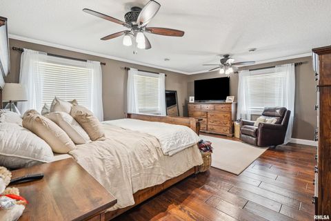 Tiny photo for 1389 260TH Avenue, Delmar, IA 52037 (MLS # QC4266253)