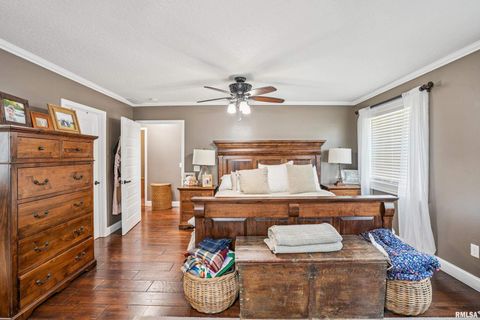 Tiny photo for 1389 260TH Avenue, Delmar, IA 52037 (MLS # QC4266253)