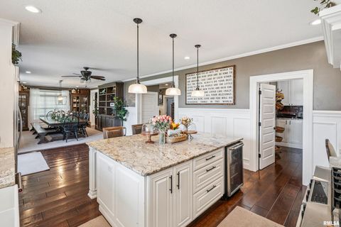 Tiny photo for 1389 260TH Avenue, Delmar, IA 52037 (MLS # QC4266253)