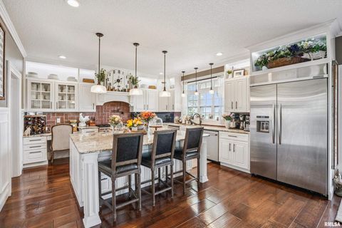 Tiny photo for 1389 260TH Avenue, Delmar, IA 52037 (MLS # QC4266253)