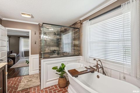 Tiny photo for 1389 260TH Avenue, Delmar, IA 52037 (MLS # QC4266253)