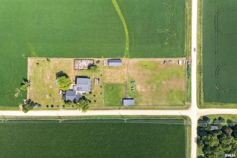 Tiny photo for 1389 260TH Avenue, Delmar, IA 52037 (MLS # QC4266253)