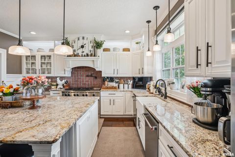 Tiny photo for 1389 260TH Avenue, Delmar, IA 52037 (MLS # QC4266253)