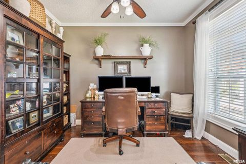 Tiny photo for 1389 260TH Avenue, Delmar, IA 52037 (MLS # QC4266253)