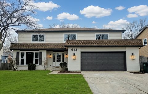 Photo of 613 Zaininger Avenue, Naperville, IL 60563 (MLS # 12591694)