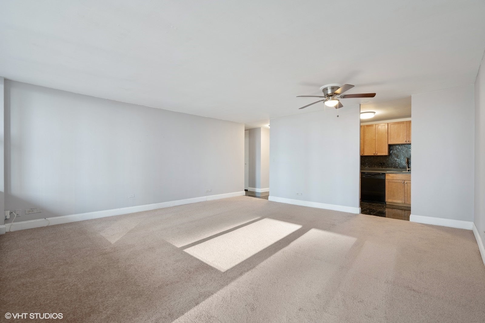 400 E Randolph Street 1123
