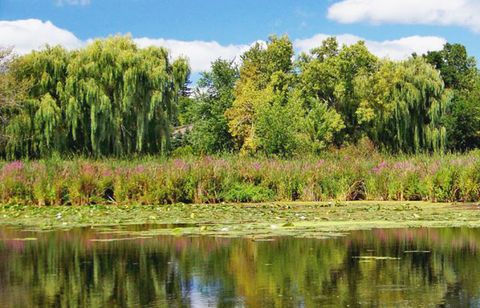 Tiny photo for 261 Red Oak Circle #1502, Volo, IL 60020 (MLS # 12322661)