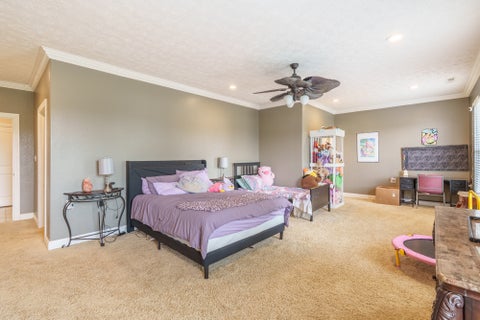 Tiny photo for 14323 N Manhattan Lane, Mt Vernon, IL 62864 (MLS # 12764903)
