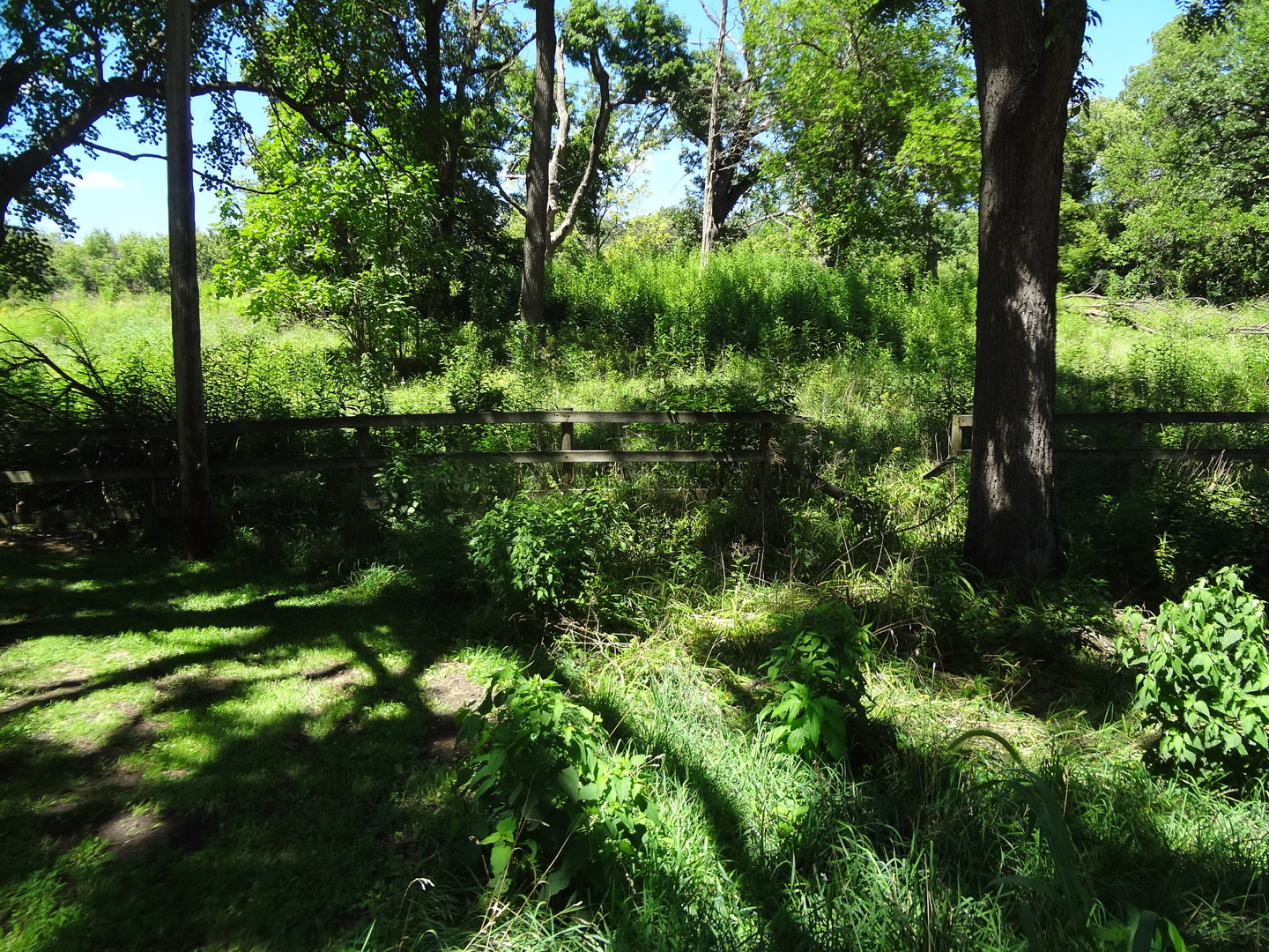 363 S BATEMAN Circle