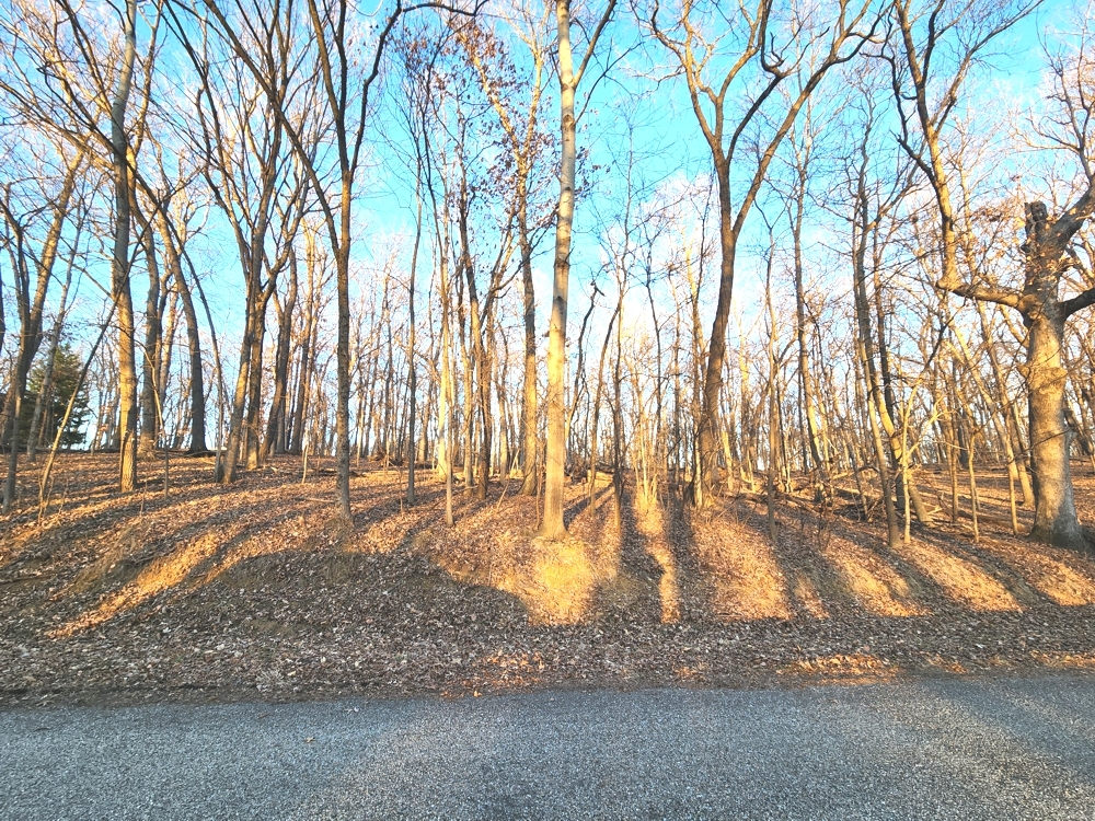 Lot 1808 Tanglewood Drive
