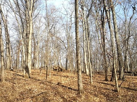 Lot 1808 Tanglewood Drive Varna IL 61375
