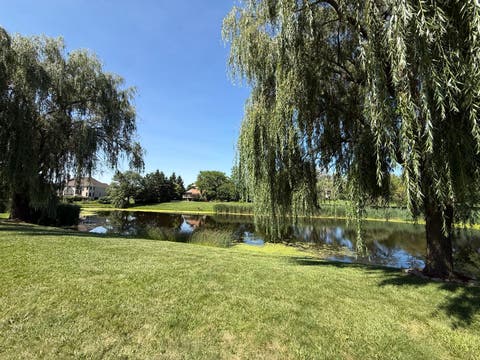 Tiny photo for 184 Bluebird Court, Hawthorn Woods, IL 60047 (MLS # 12713863)