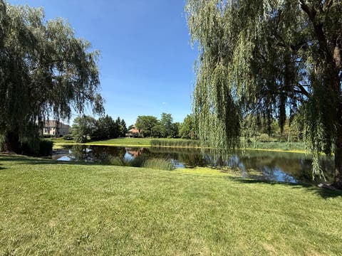 Tiny photo for 184 Bluebird Court, Hawthorn Woods, IL 60047 (MLS # 12713863)