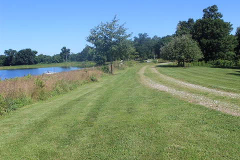 Tiny photo for 3042 Five Mile Creek Road, Salem, IL 62881 (MLS # 12687751)