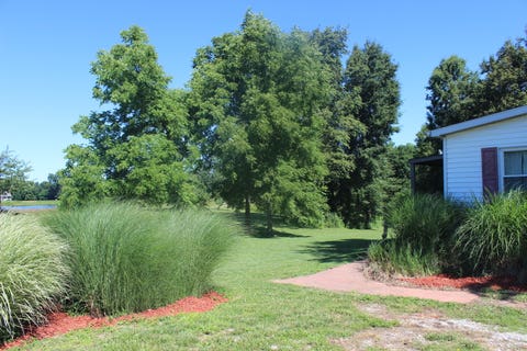 Tiny photo for 3042 Five Mile Creek Road, Salem, IL 62881 (MLS # 12687751)