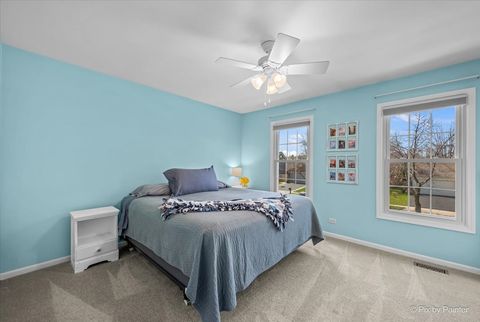 Tiny photo for Algonquin, IL 60102 (MLS # 12614350)