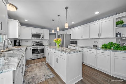 Tiny photo for Algonquin, IL 60102 (MLS # 12614350)