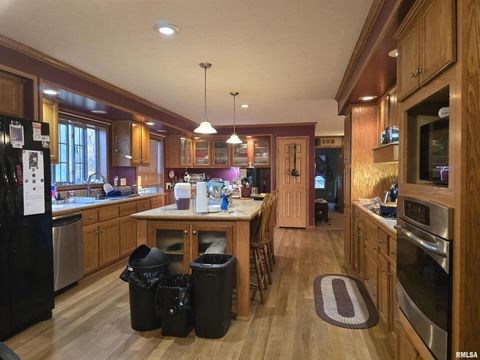 Tiny photo for 13960 Meridian Road, Carterville, IL 62918 (MLS # EB460643)