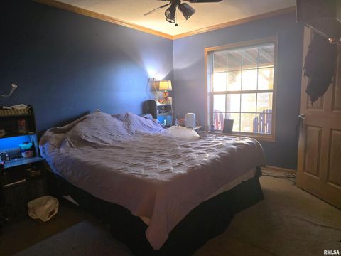 Tiny photo for 13960 Meridian Road, Carterville, IL 62918 (MLS # EB460643)